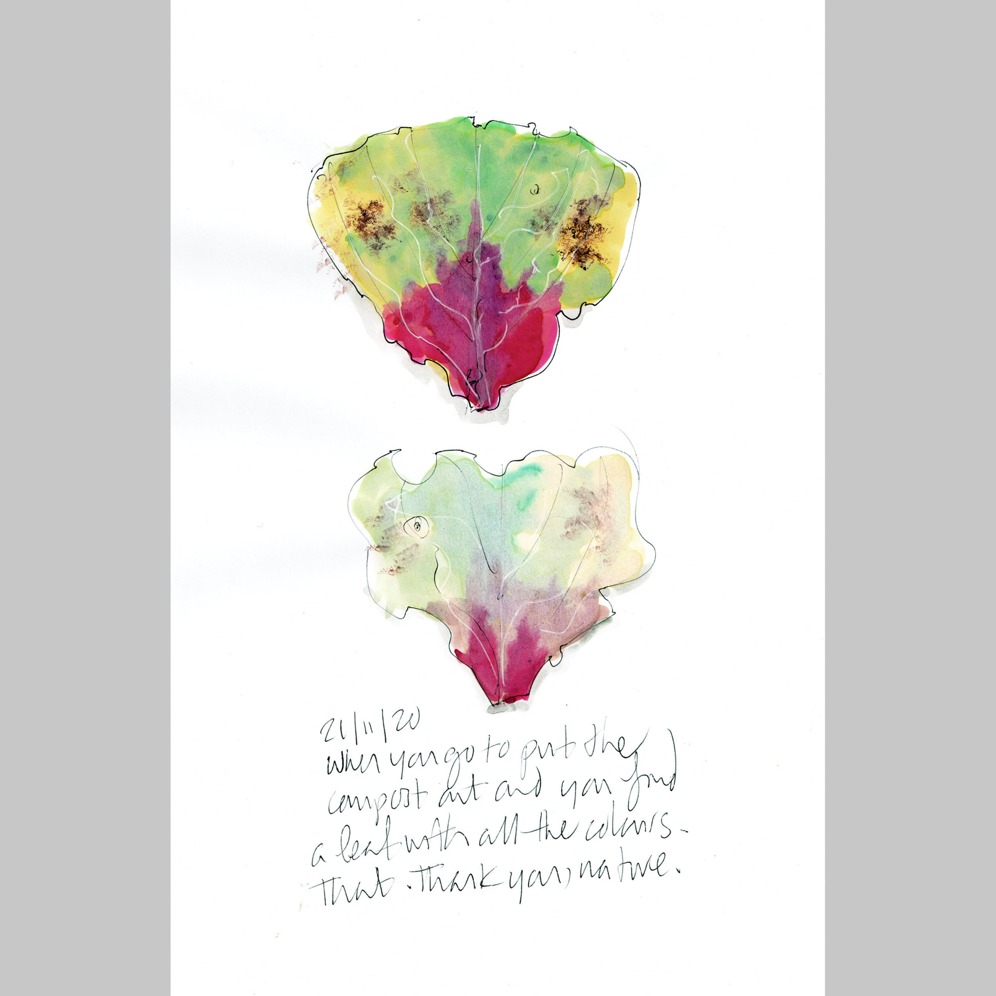 Leaf with all the colours 21.11.20 (An original sketch by Lydia Thornley)
