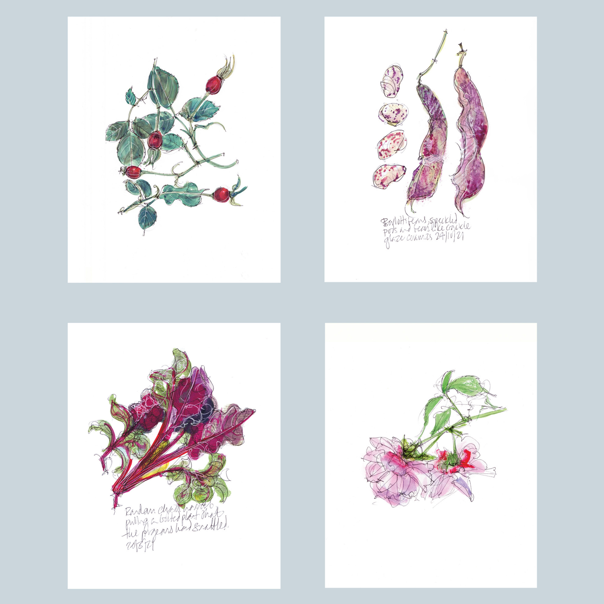 Chard beans roses prints by Lydia Thornley
